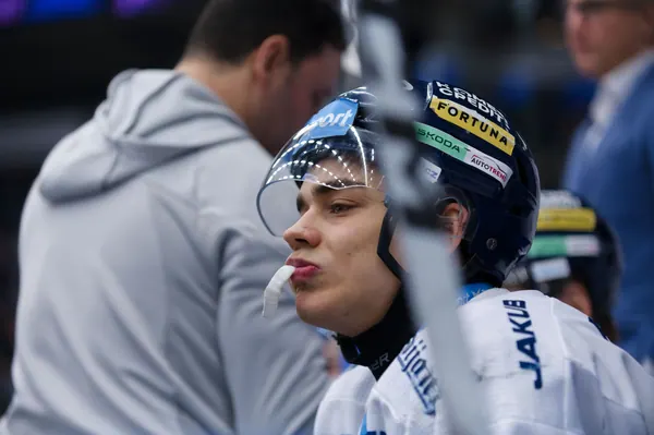 Jaromír Pérez, 19. 2. 2026, BTL – Dresden