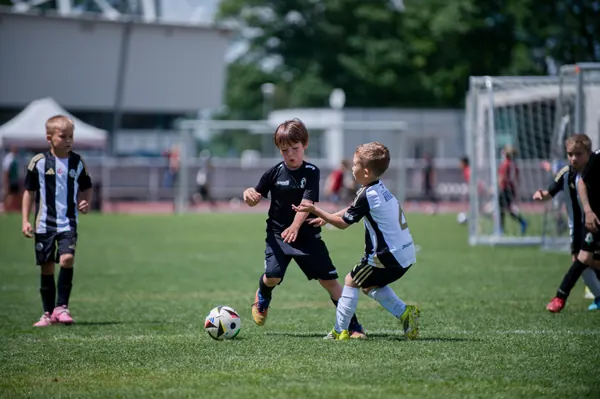 JUNIOR NORTH CUP MICRO 2026, 6. 6. 2026