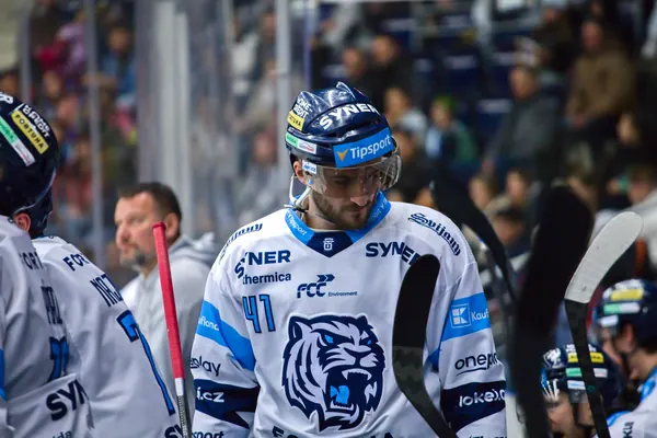 BTL – Hradec Králové, 23. 11. 2025