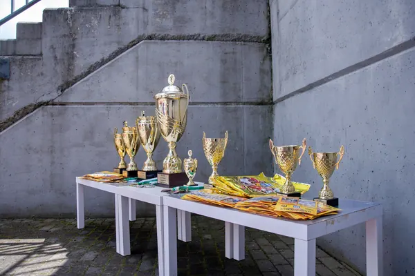 JUNIOR NORTH CUP MICRO 2026, 6. 6. 2026