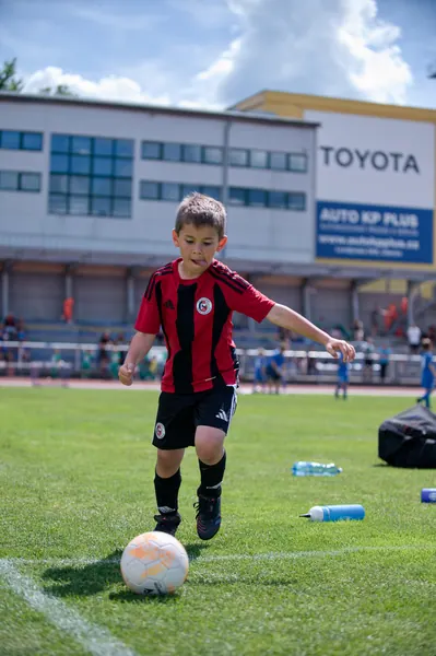 JUNIOR NORTH CUP MICRO 2026, 6. 6. 2026