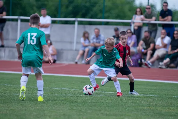 JUNIOR NORTH CUP MICRO 2026, 6. 6. 2026