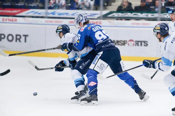 BTL – Dresden, 19. 2. 2026